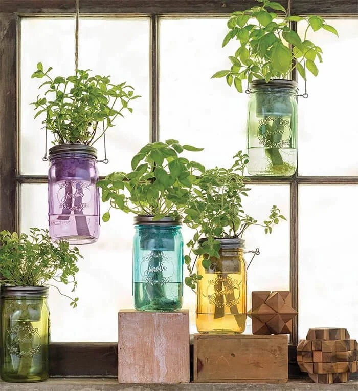 Mason Jar Indoor Herb Garden
