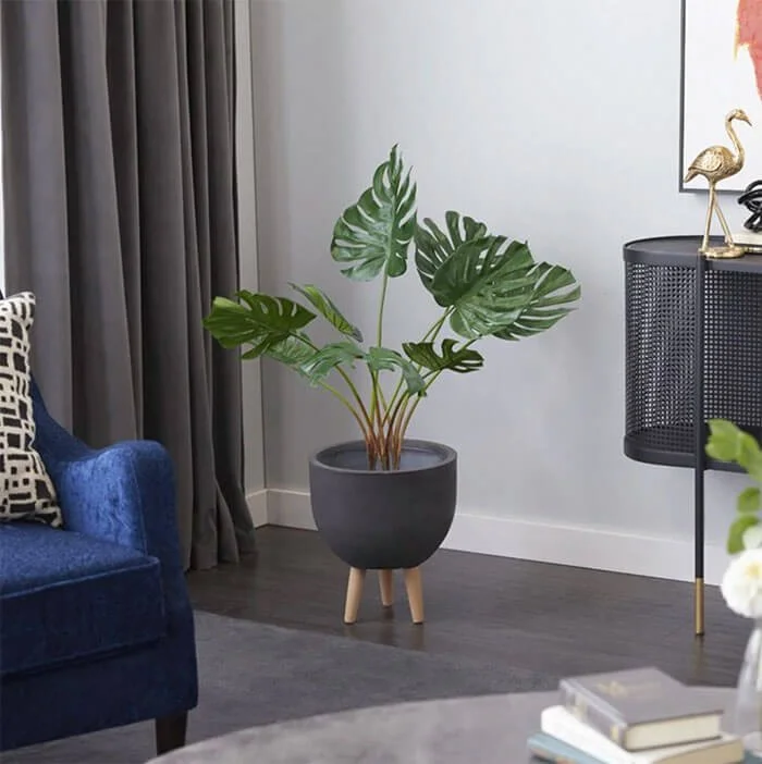 Monstera Leaf Decoration Pot