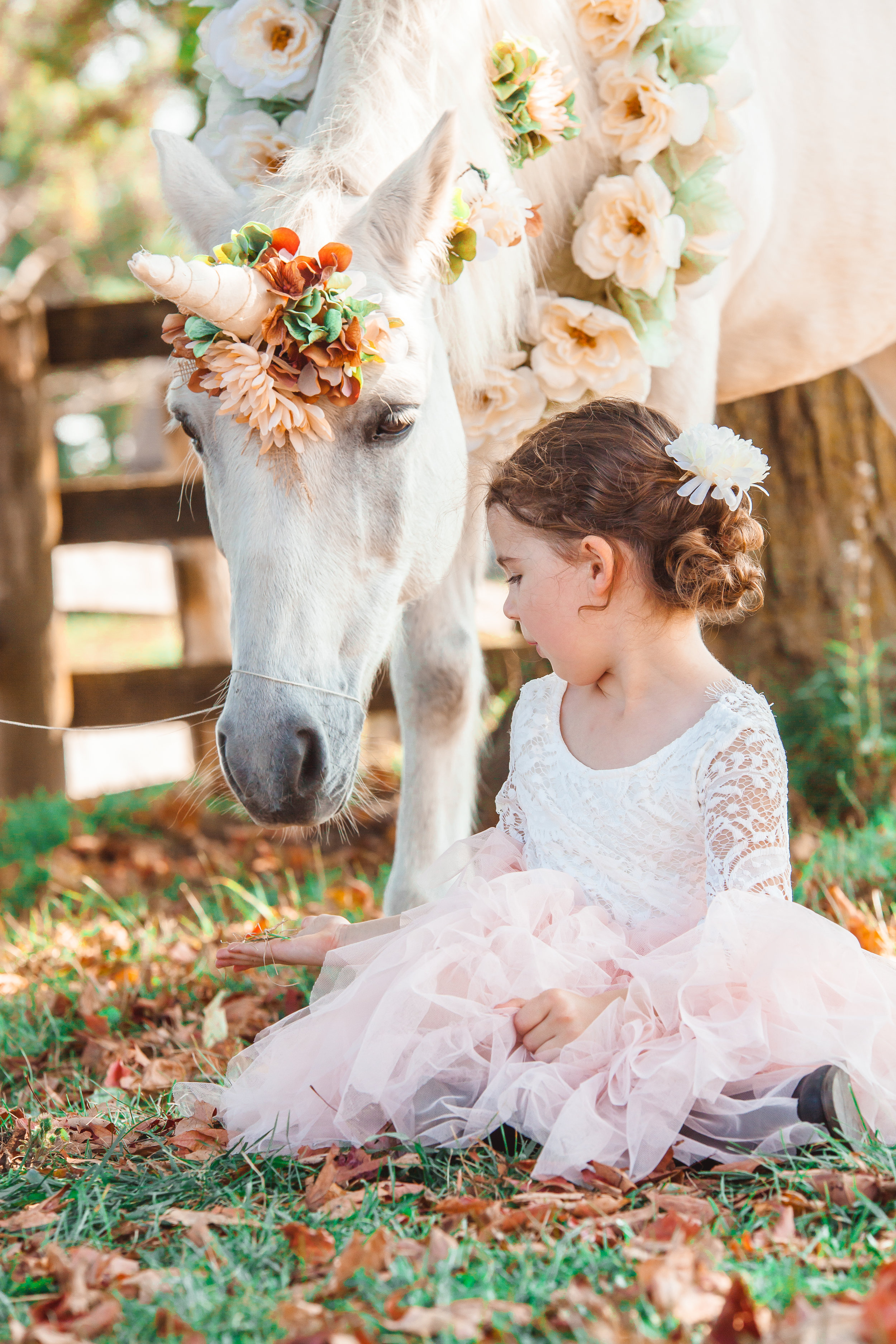 Amy D Photography Barrie Family & Children Photography Unicorn Mini Session-17.jpg