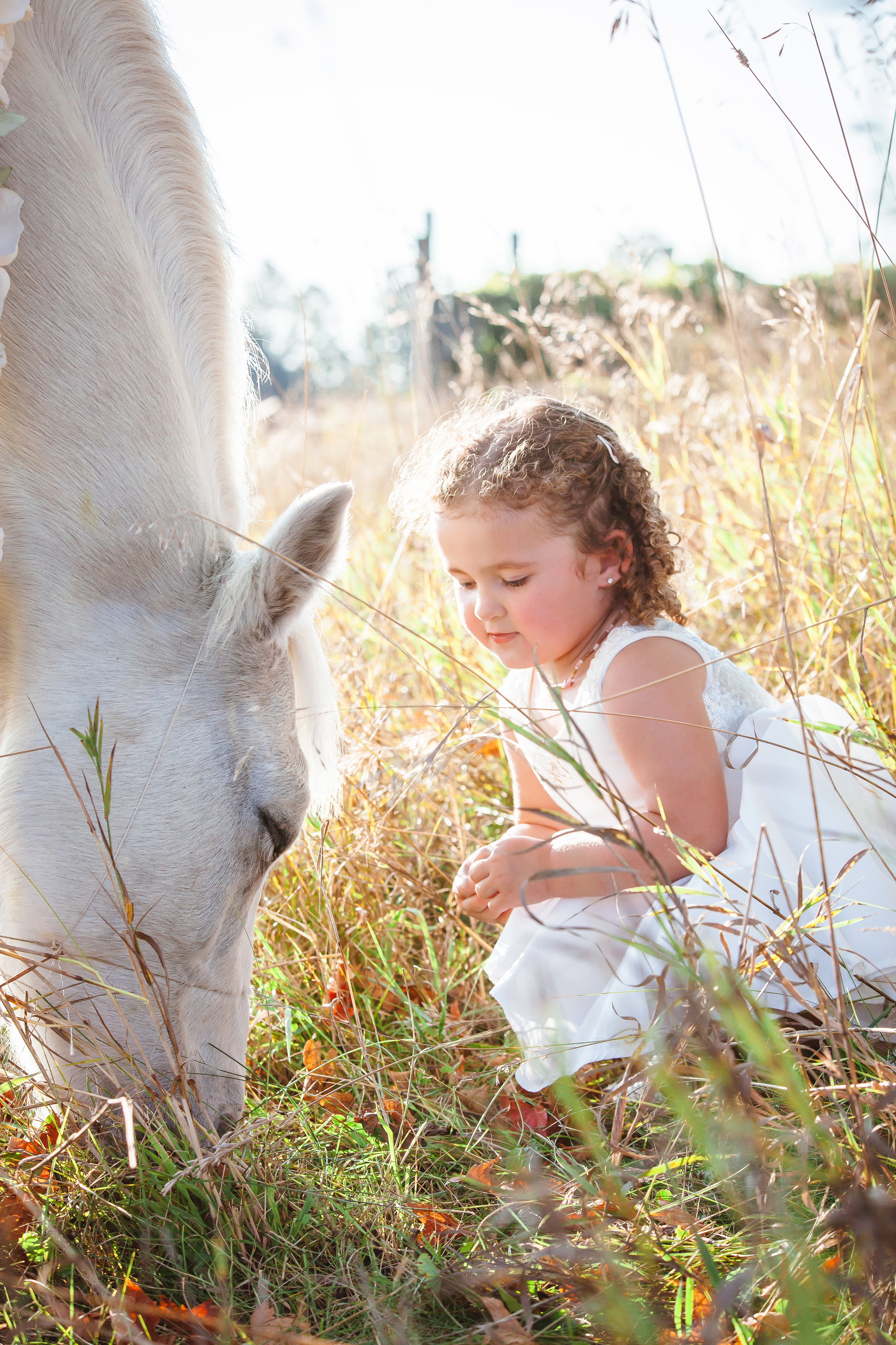 Amy D Photography Barrie Family & Children Photography Unicorn Mini Session-15.jpg