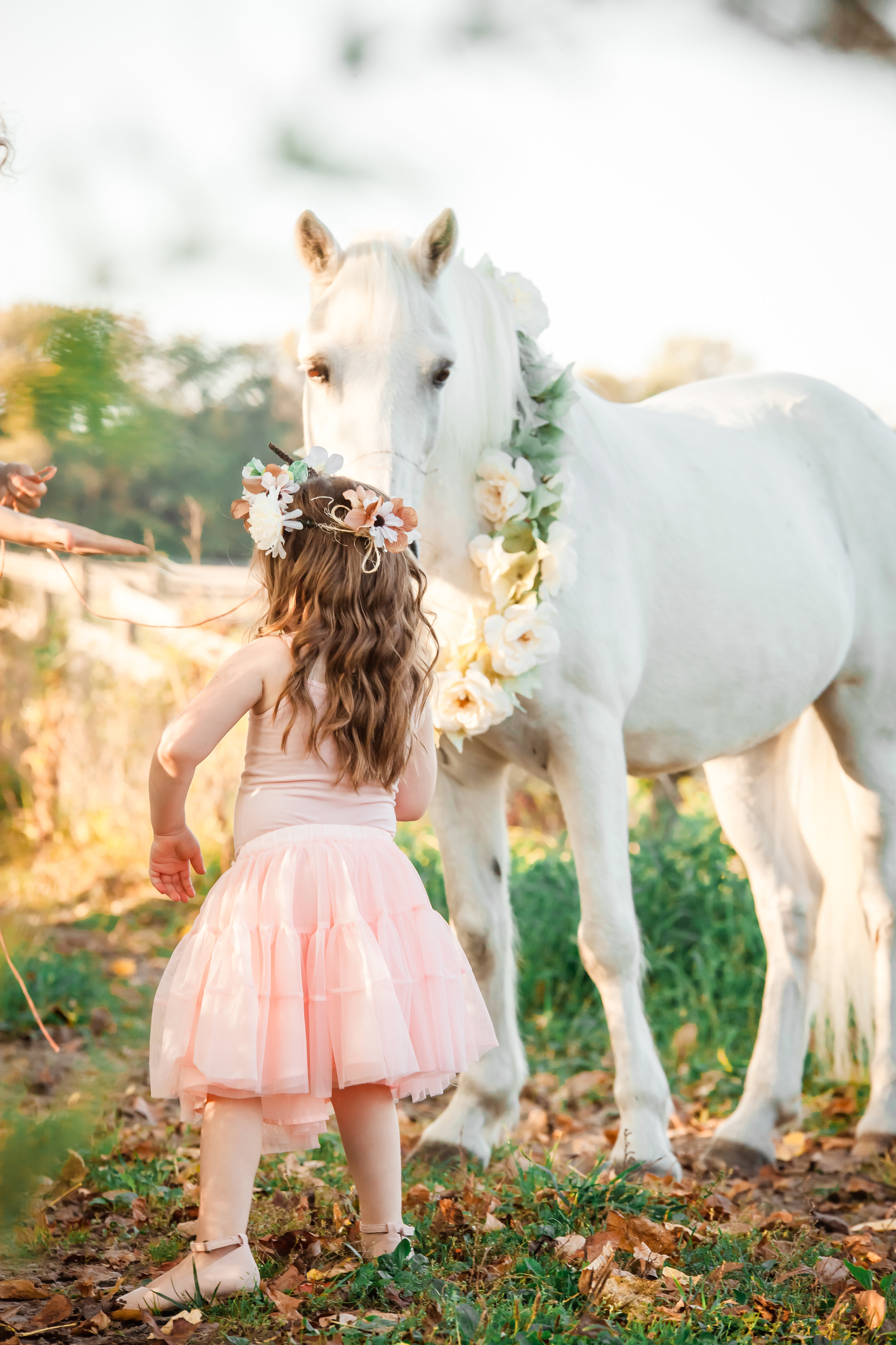 Amy D Photography Barrie Children & Family Photography Unicorn Mini Sessions Unicorn Photo Session- Little Girl Photo Session-24.jpg