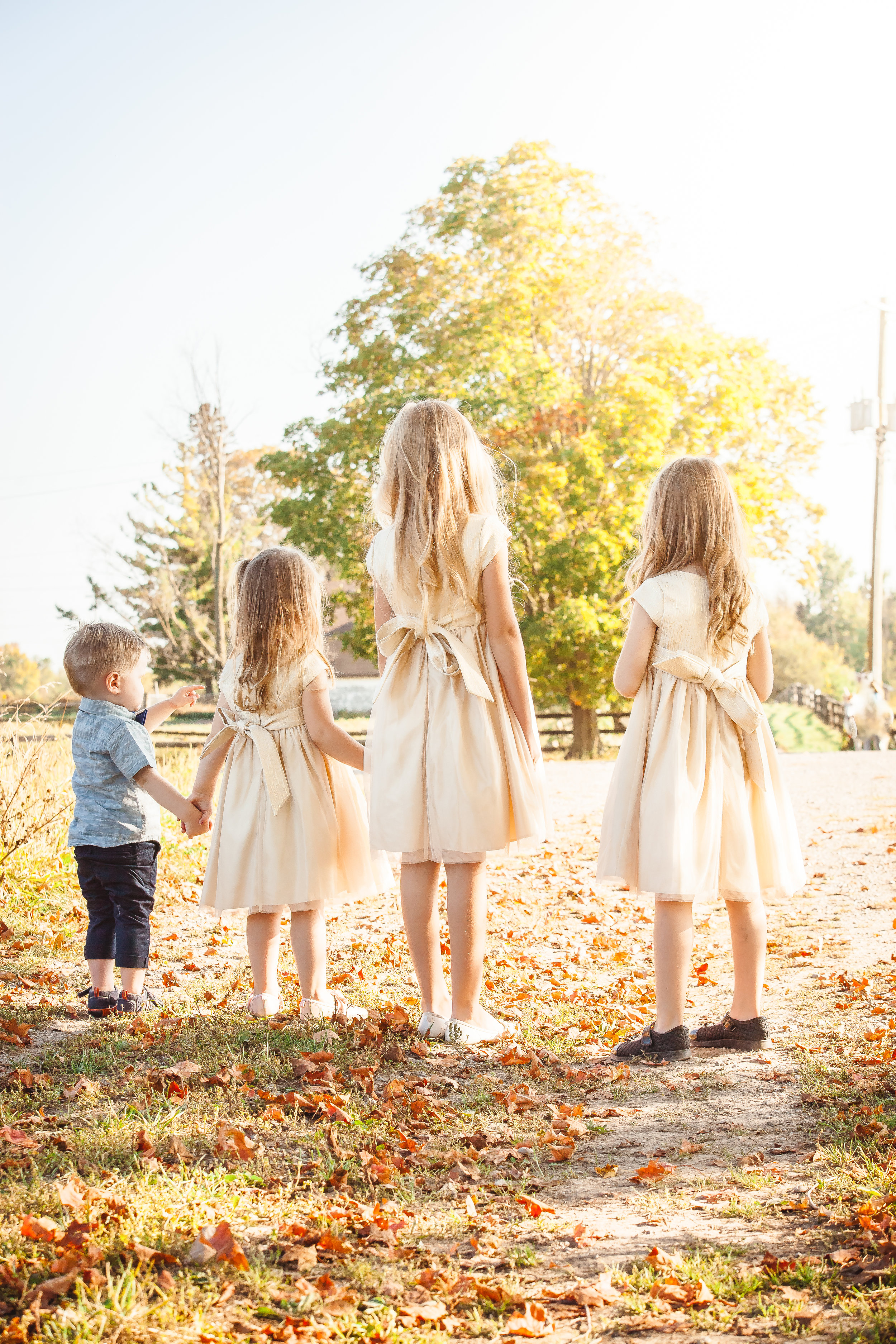 Amy D Photography Barrie Family & Children Photography Unicorn Mini Session-14.jpg