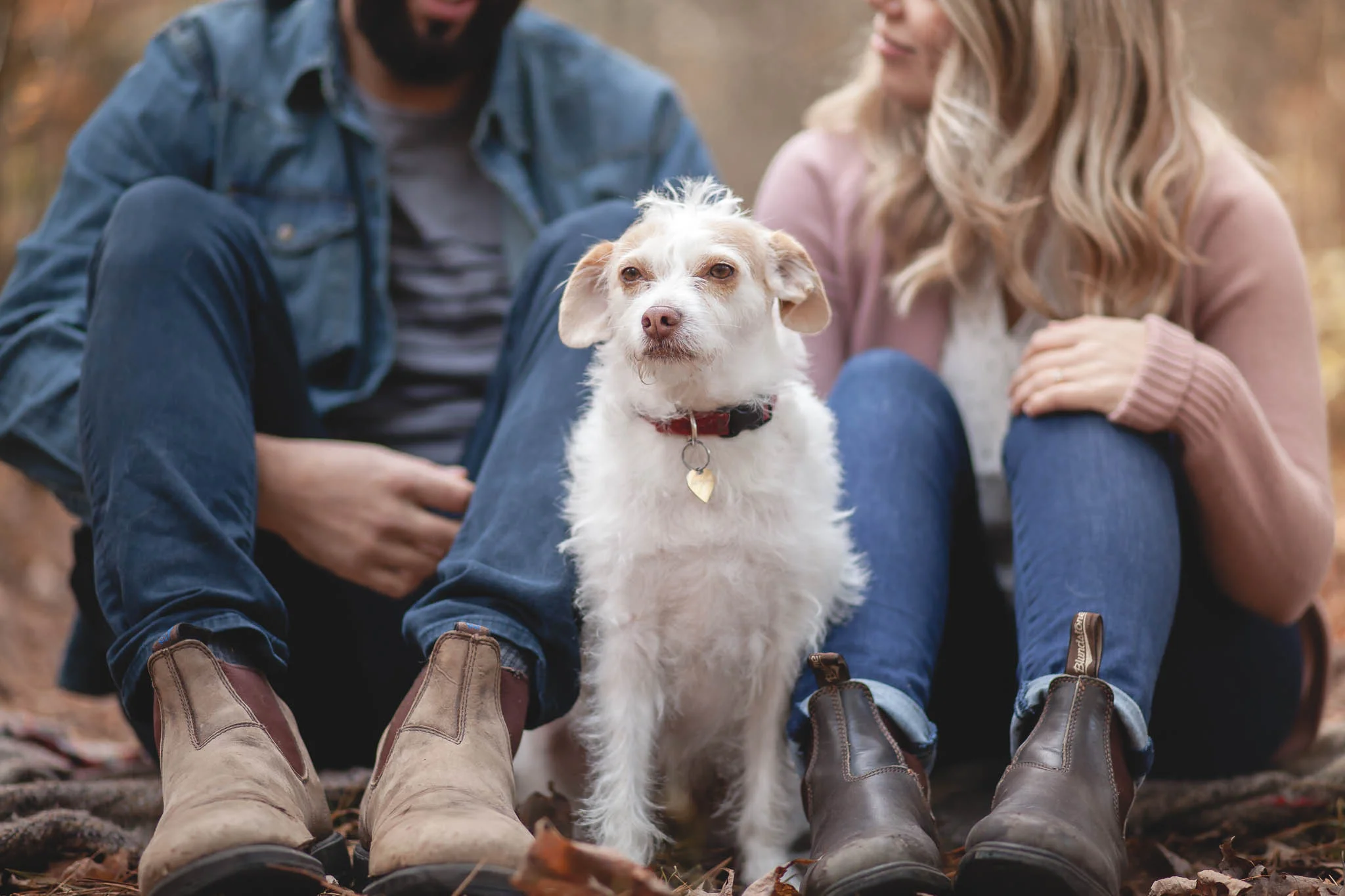 Amy D Photography- Barrie Wedding Photography- Engagement Session- Fall Engagement Session- Engagement Session with Dog- Engagement Session Ideas- Amy D photography (35 of 92).jpg