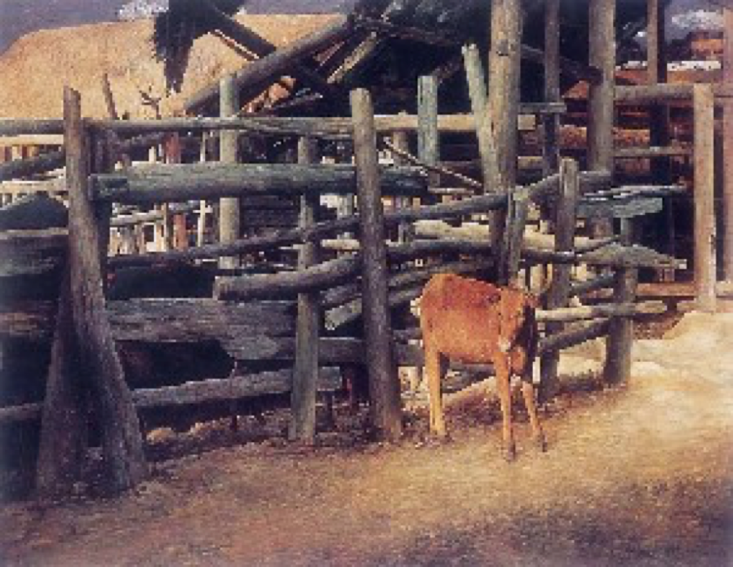 Yue Liao Newborn Calf , 10th, 2004
