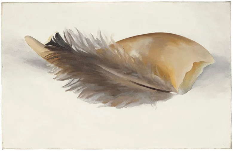 Horn and Feather , Georiga O’Keefe, oil on canvas, 1937