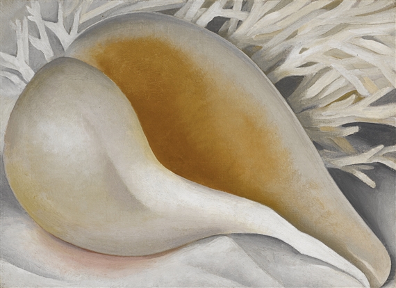 Shell (Shell IV, The Shell, Shell I) , Georgia O’Keefe, 1937