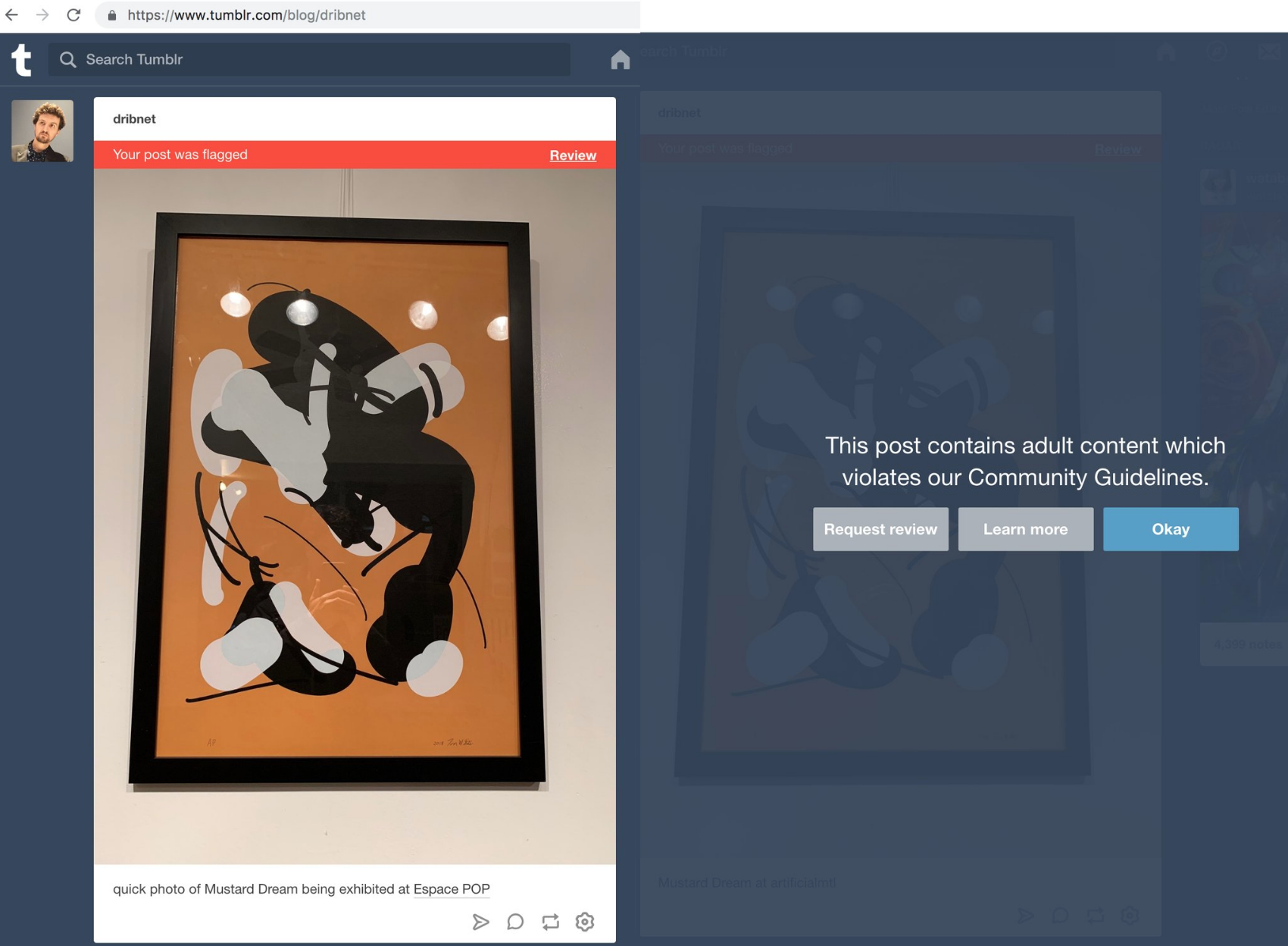 Tom White’s Mustard Dream , flagged by Tumbler as “adult content”