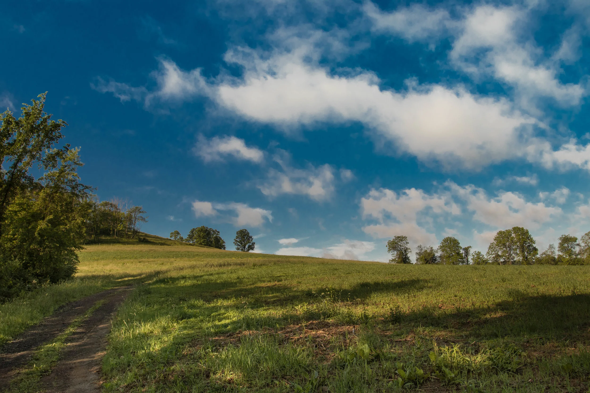 Oakdale Farm