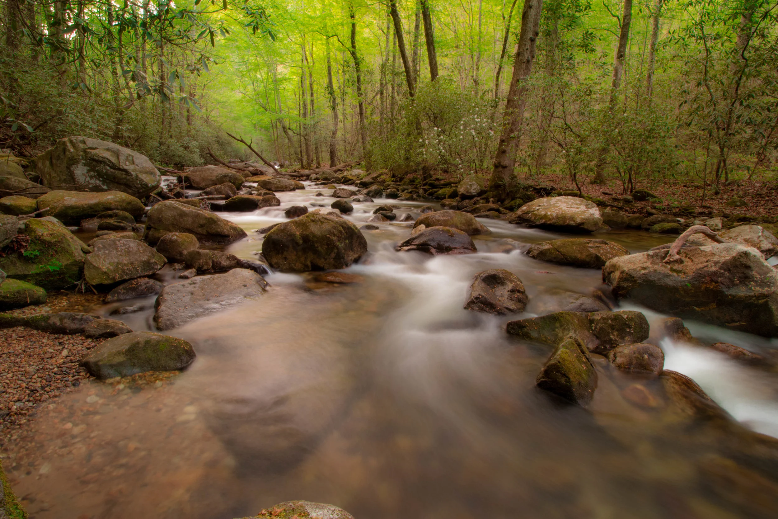 Jones Gap