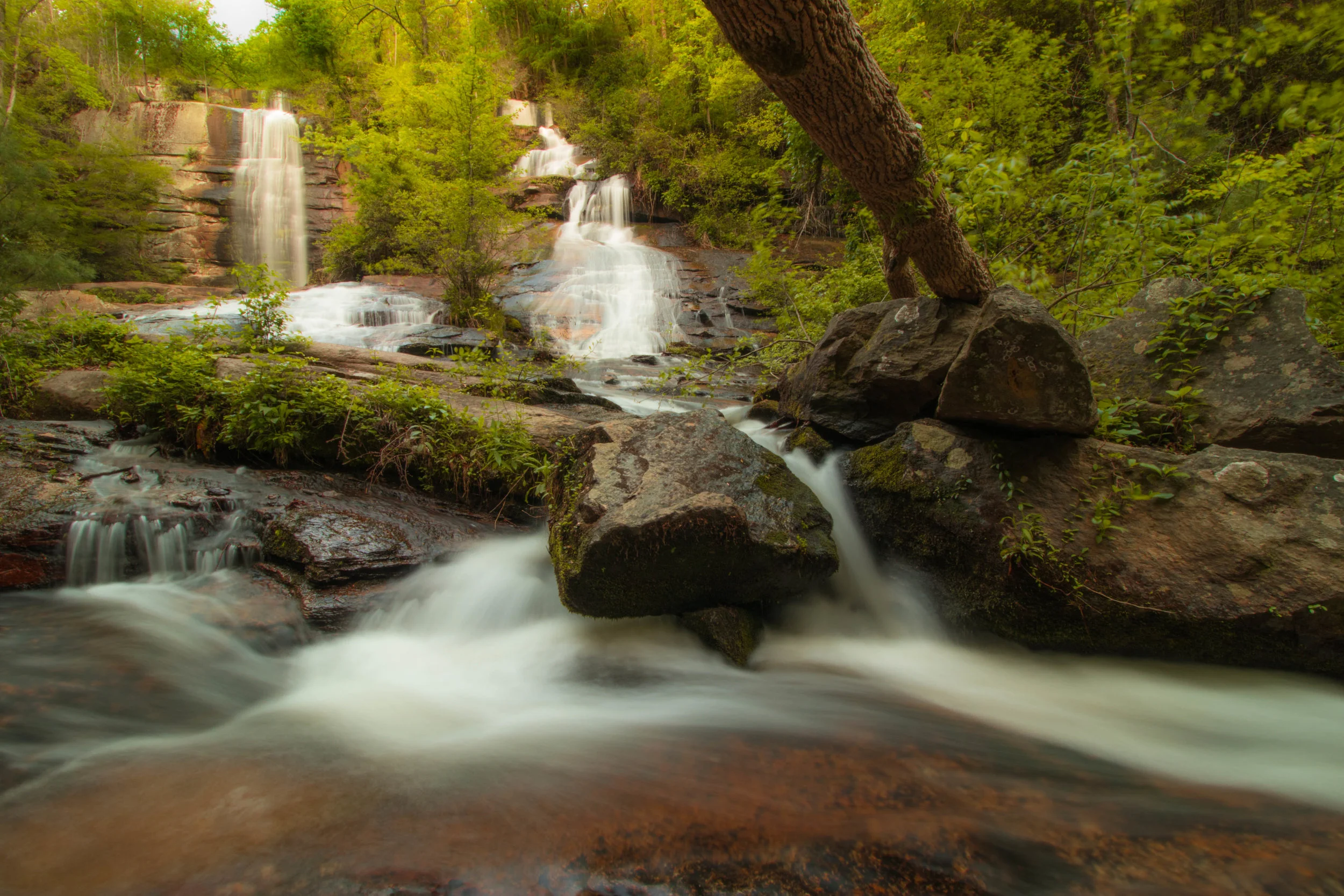 Twin Falls