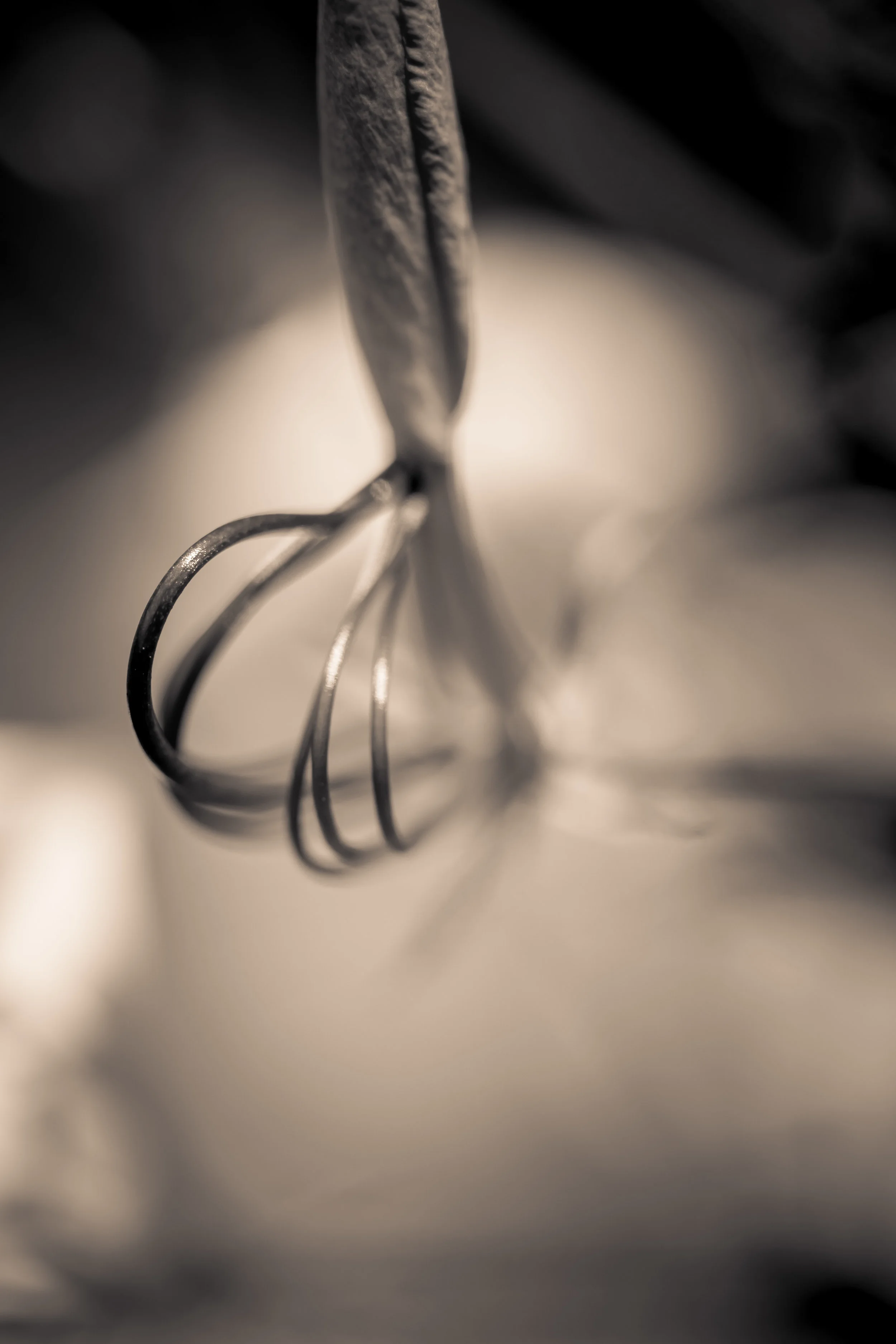 cleomesepia.jpg
