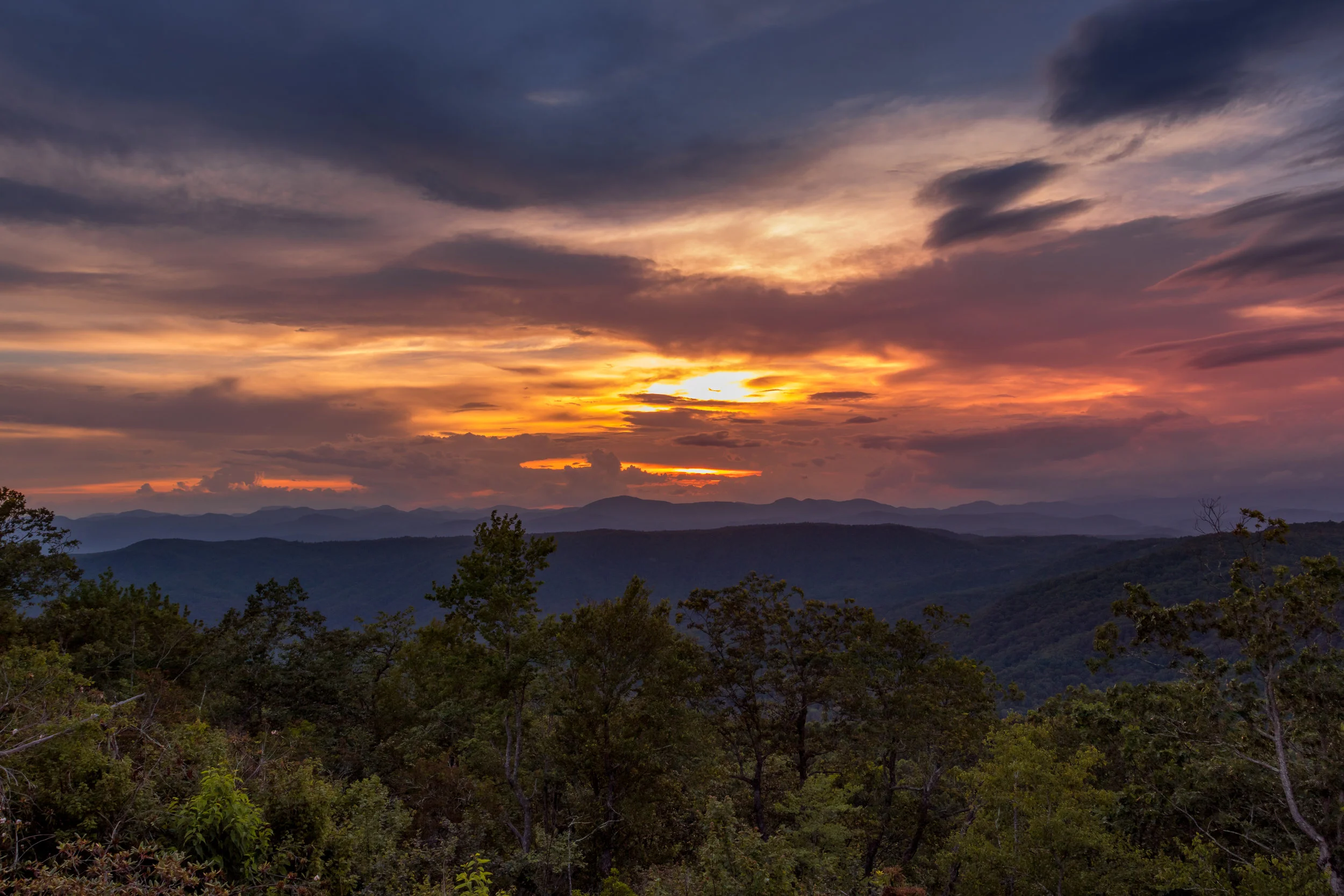 Sassafras Sunset