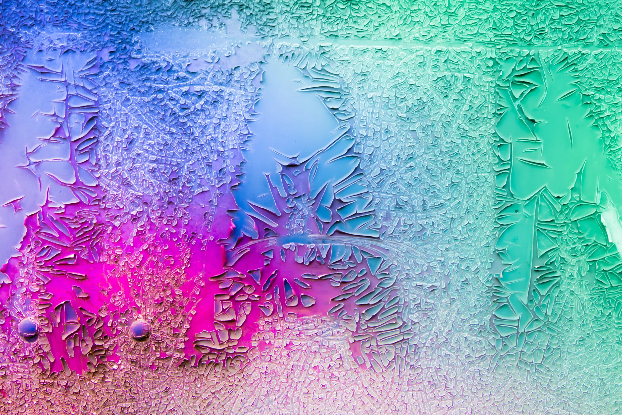 manncolors.jpg