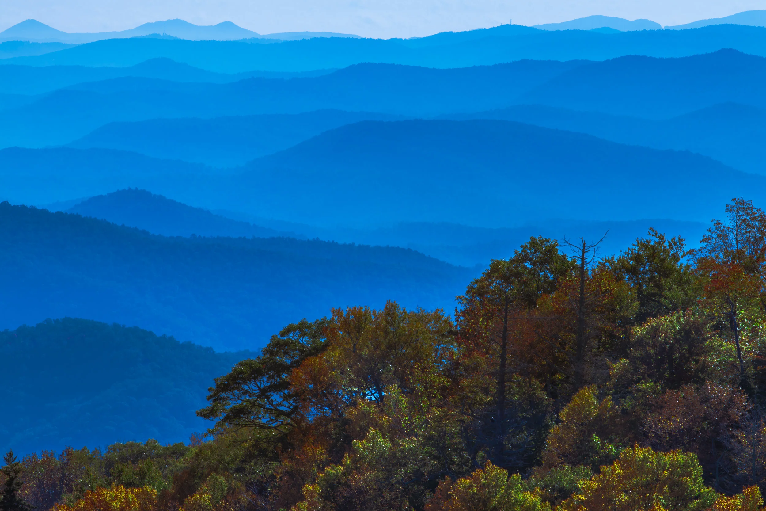 blueridgemorningfall2.jpg