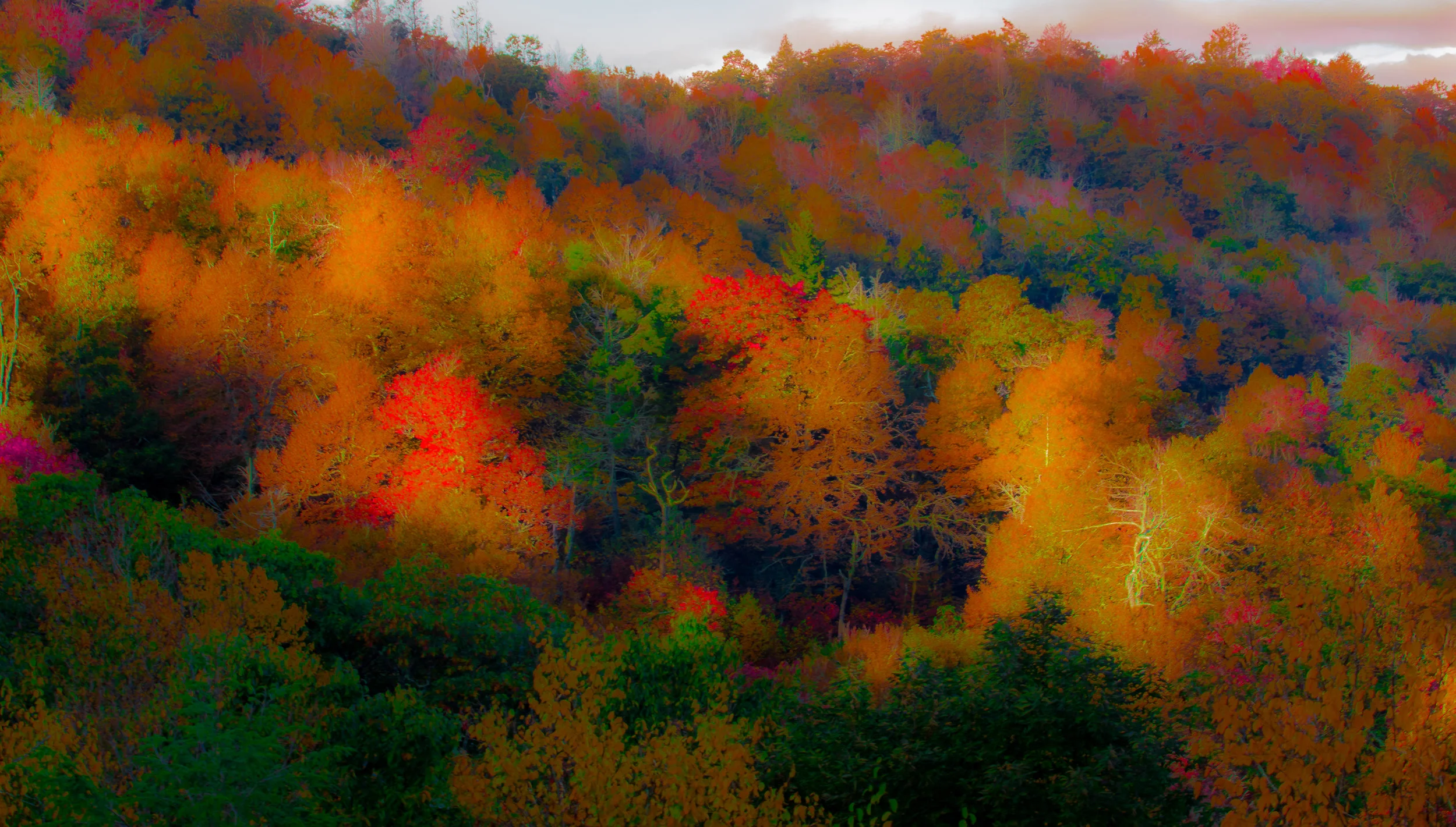 fallcolorspaint.jpg