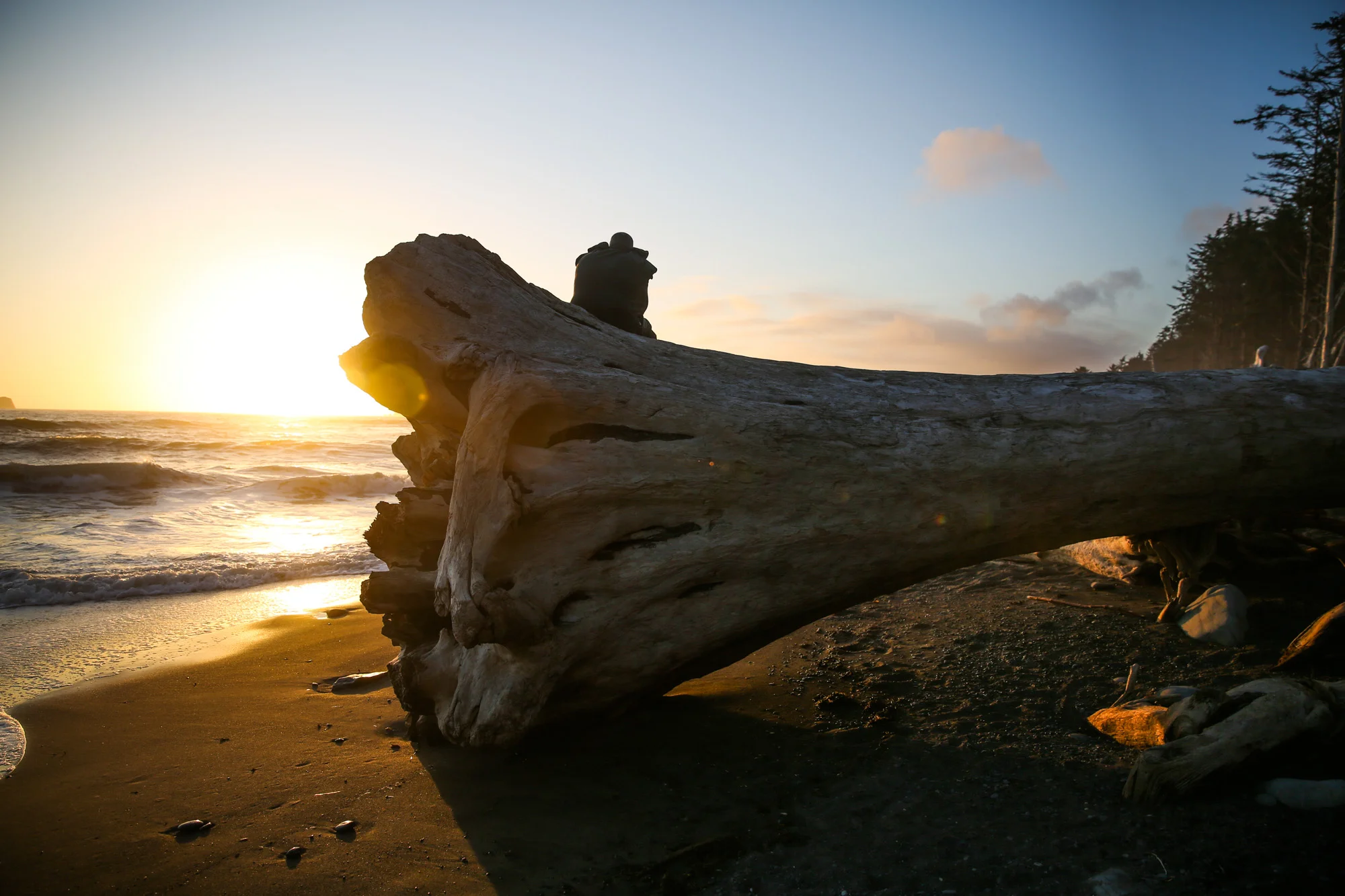 Olympic National Park, WA