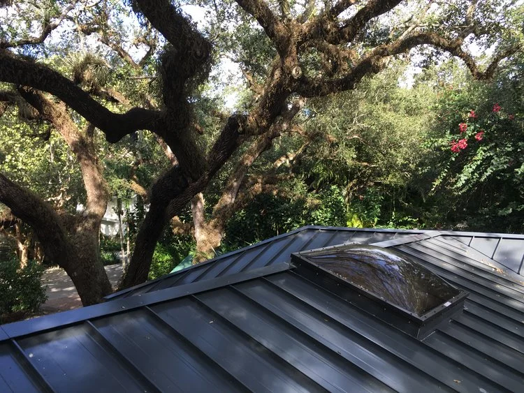 Coconut Grove Roof.jpeg