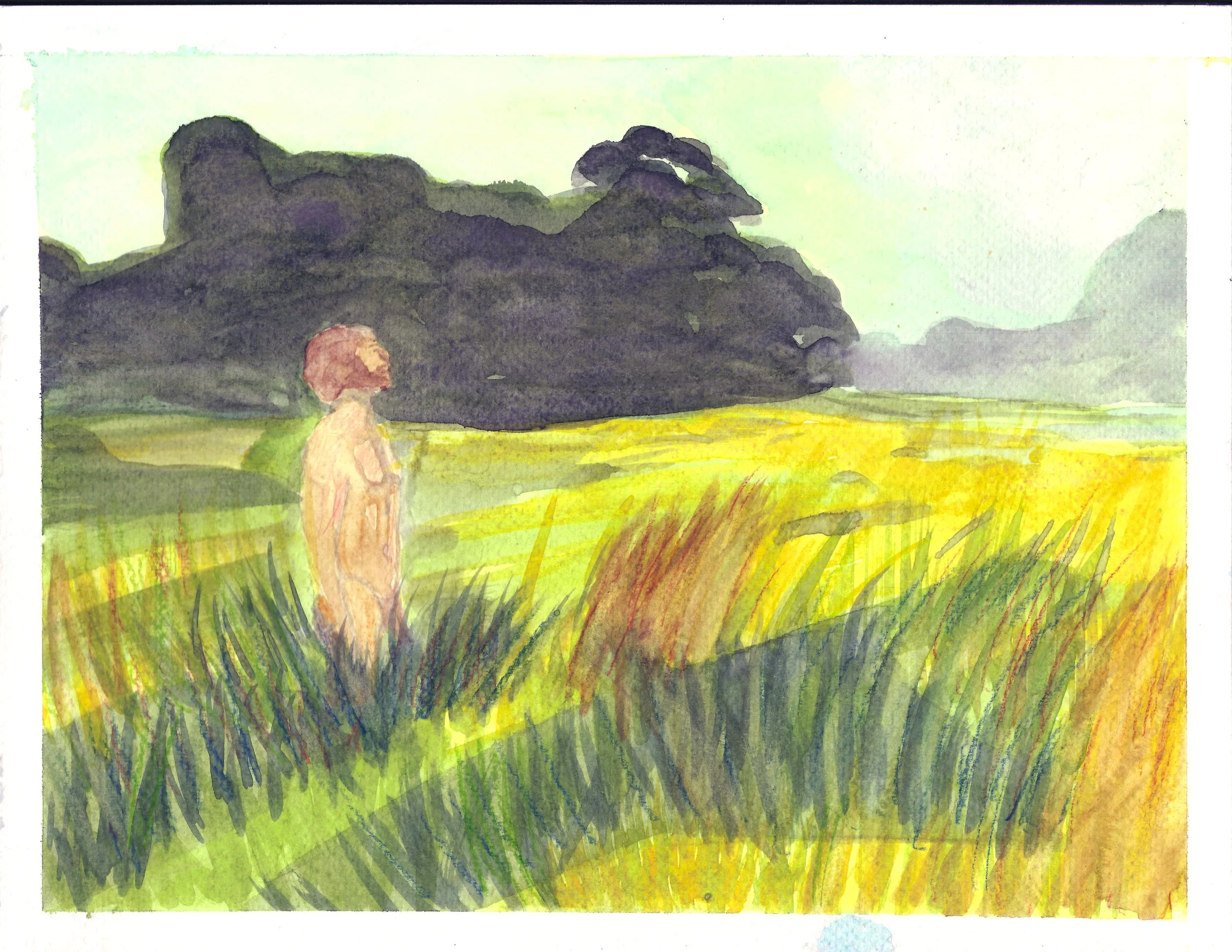 Nathan in The Field