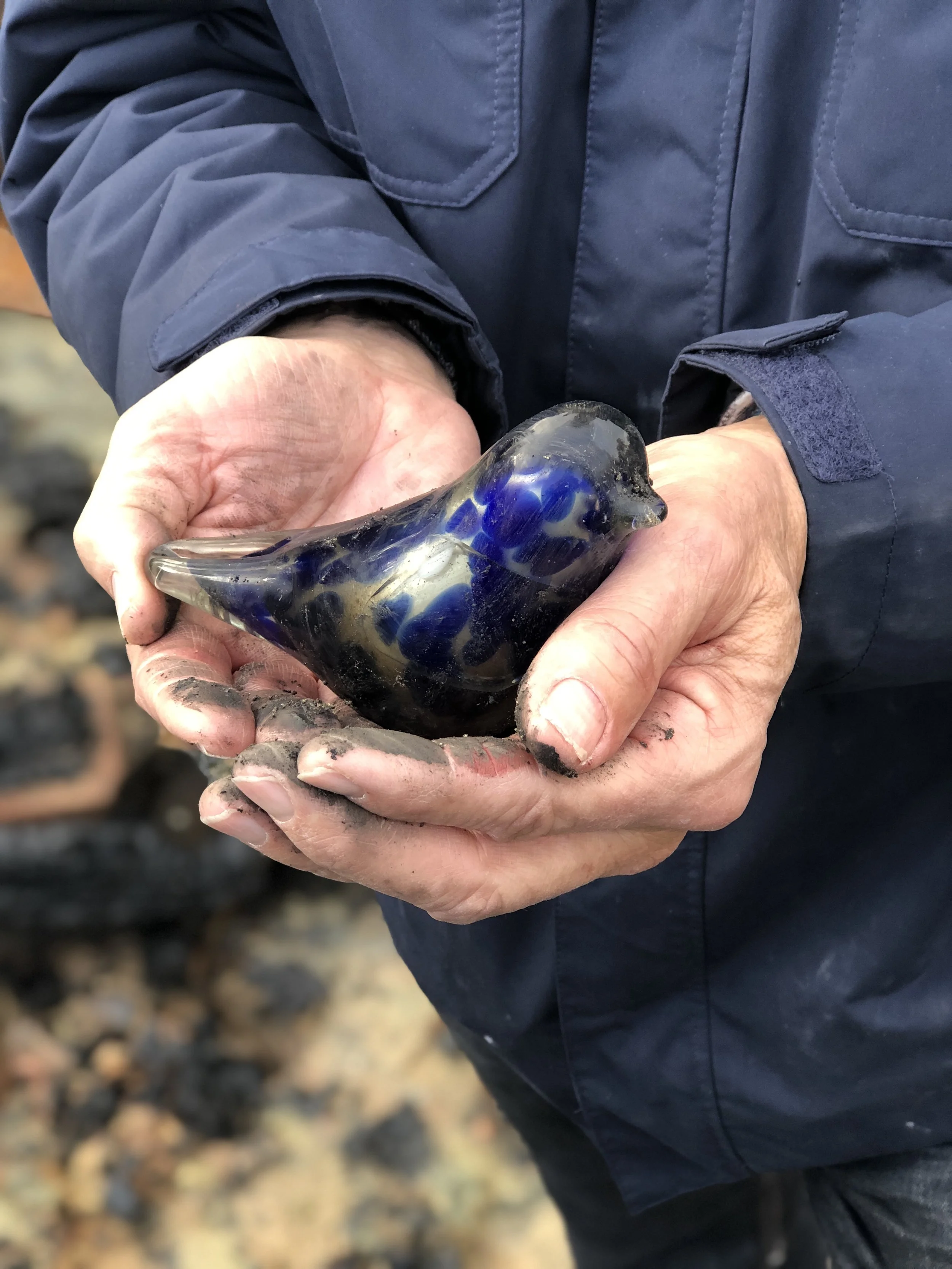 Post Hurricane Katrina - Love and Survivor Stories Live On