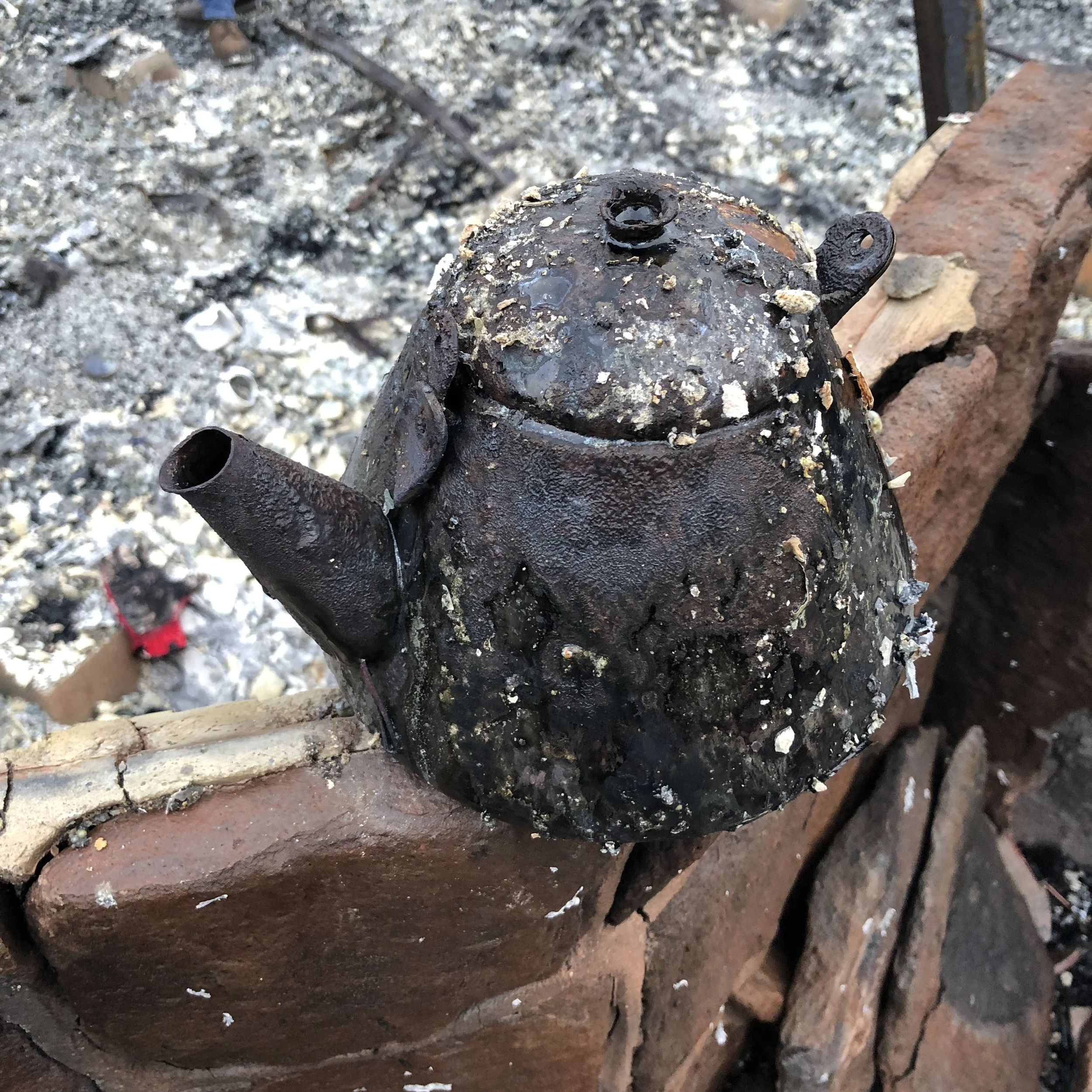 The Camp Fire Story