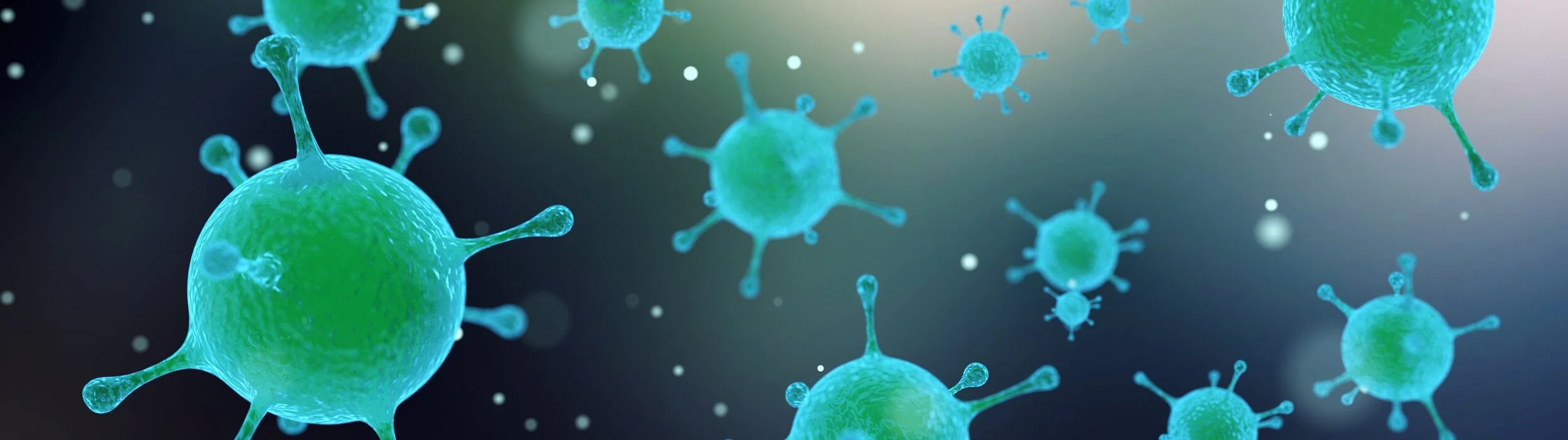 virus-1913183 (1).jpg
