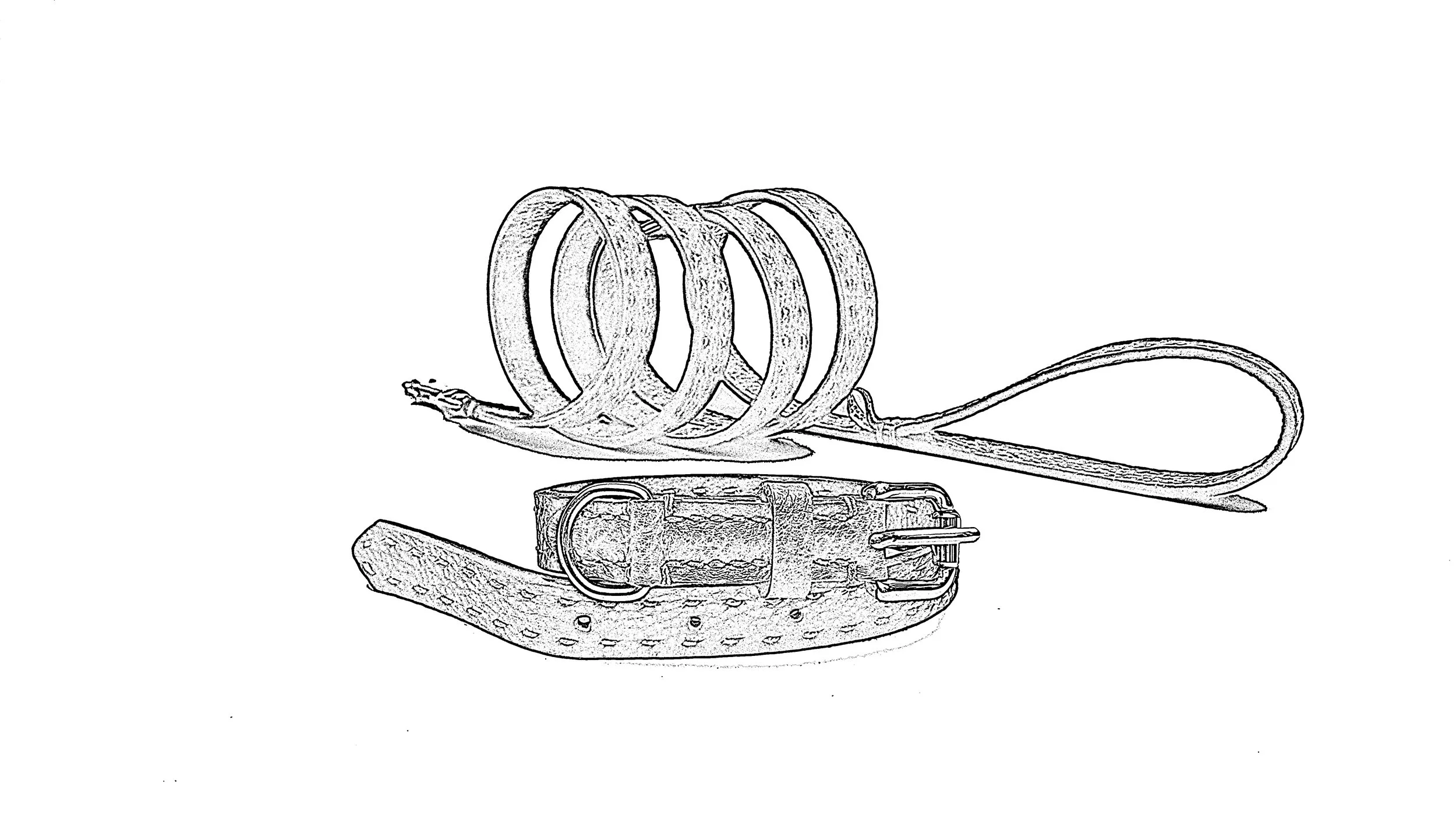 leash_sketch_custom.jpg