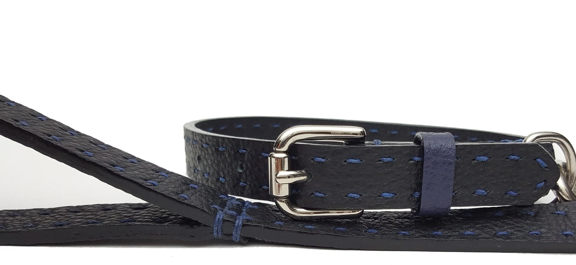 leash_det4.jpg