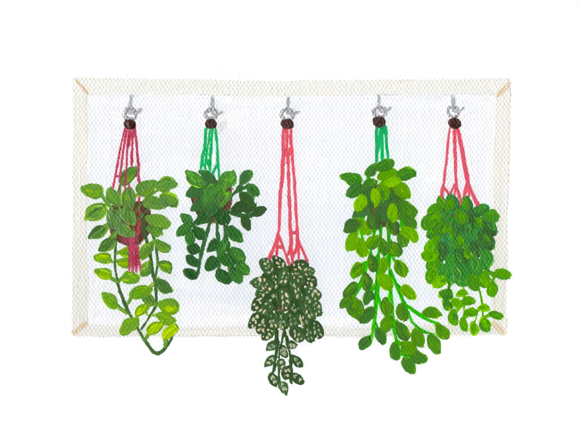 Hanging Plants 2.jpg