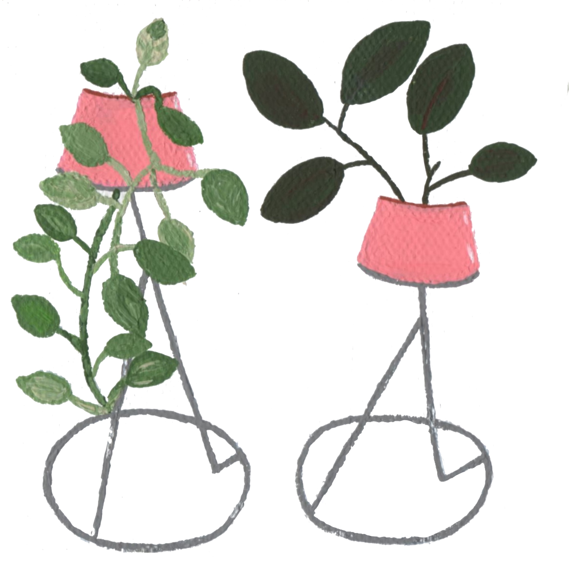 Pink Planters.jpg