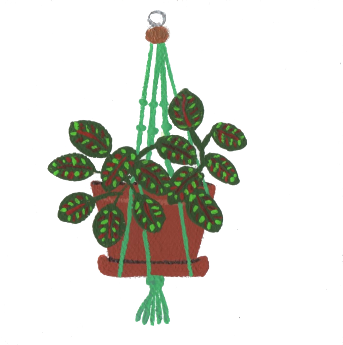 Hanging Plant.jpg