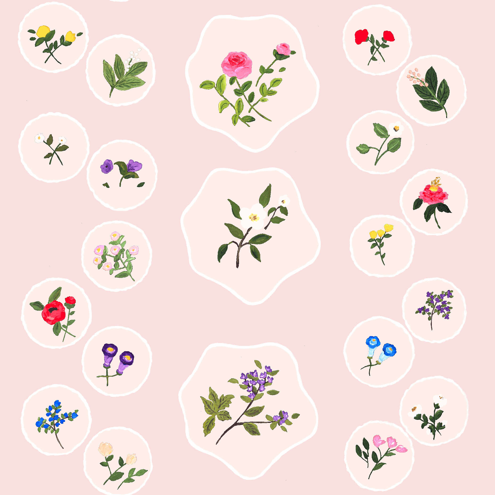 Bouviers_Botanical_by_C.A.B+Pink+F.jpg