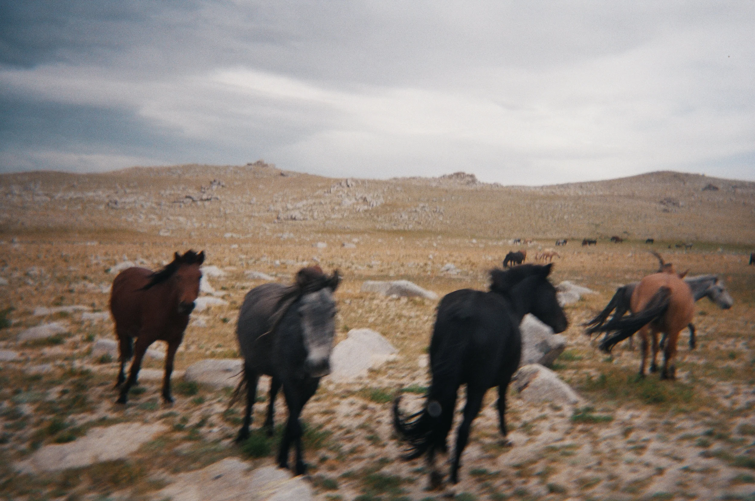 I took a disposable camera to far Western Mongolia while filming an episode of Raw Music International. It makes you relax and look differently. Sometimes I don't believe that little plastic click the camera makes can mean a real image has been created, but it usually works. I've been traveling with disposable cameras since. 