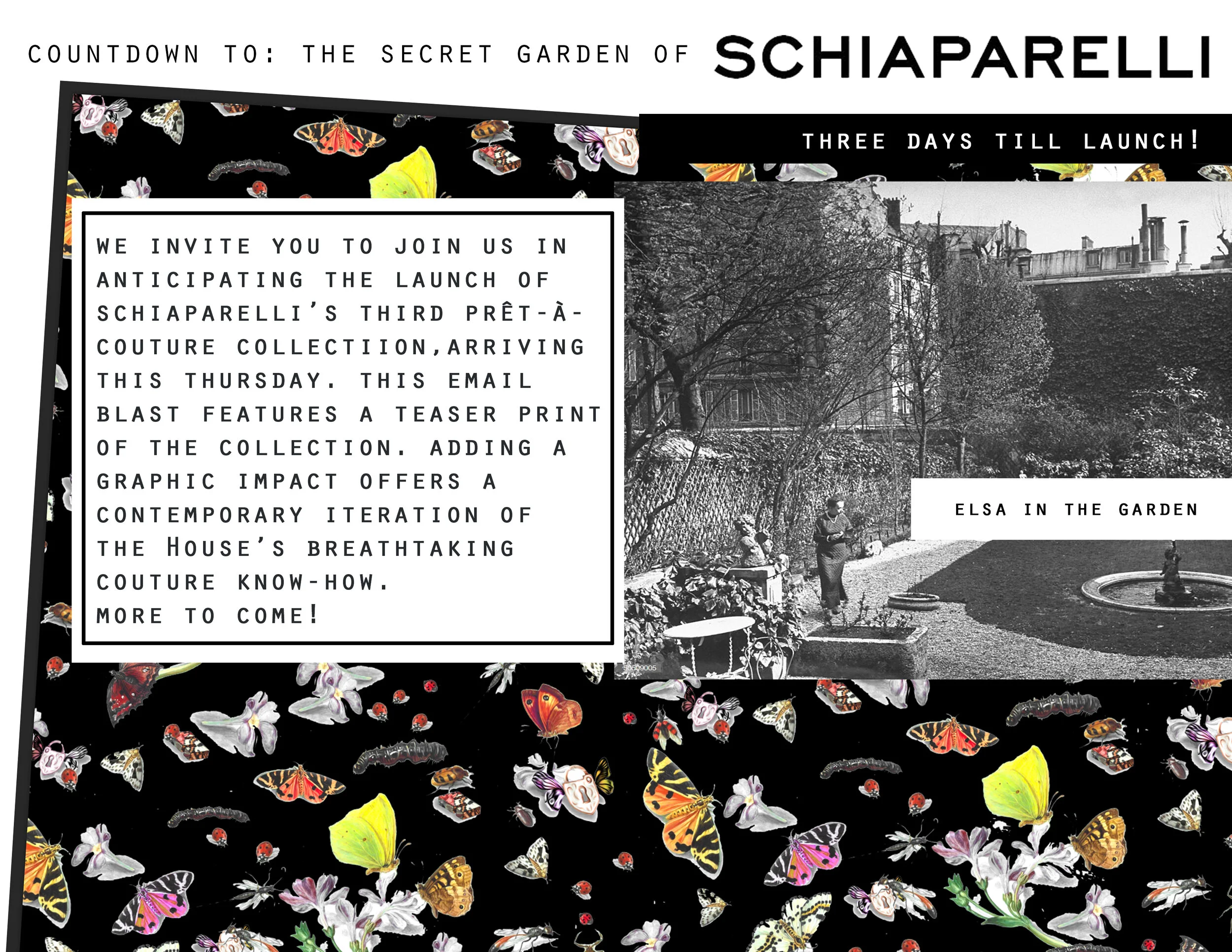 SCHIAPARELLI DAY EMAIL BLAST MONDAY.jpg