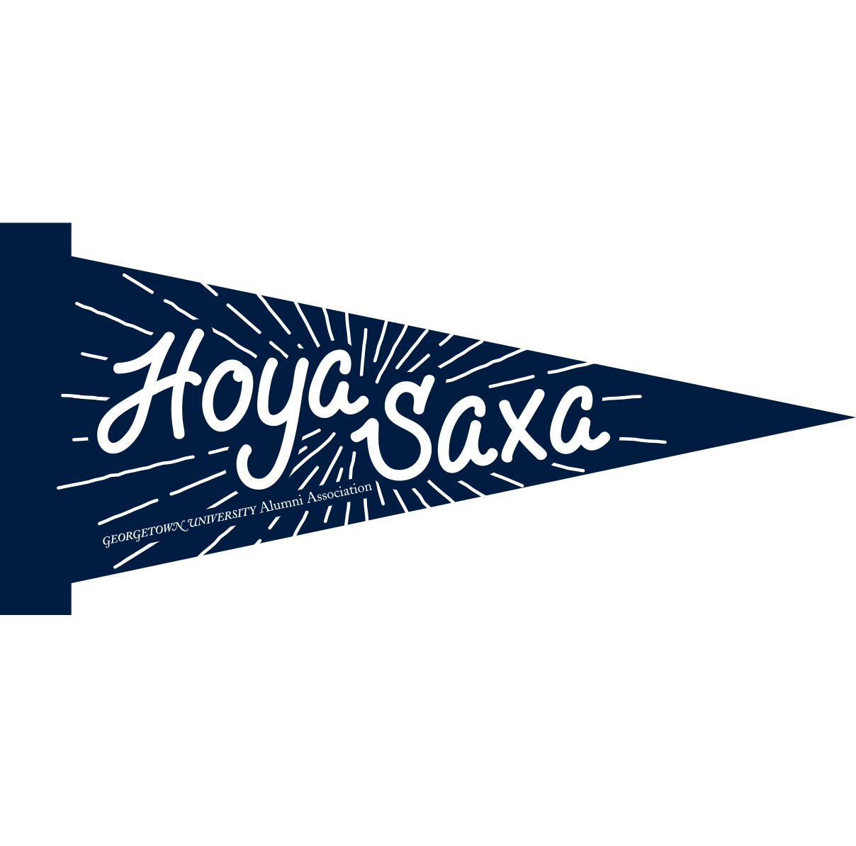 hoyasaxa_pennant.png