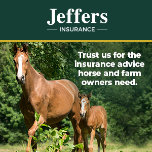 jeffers_web_ad_02.png
