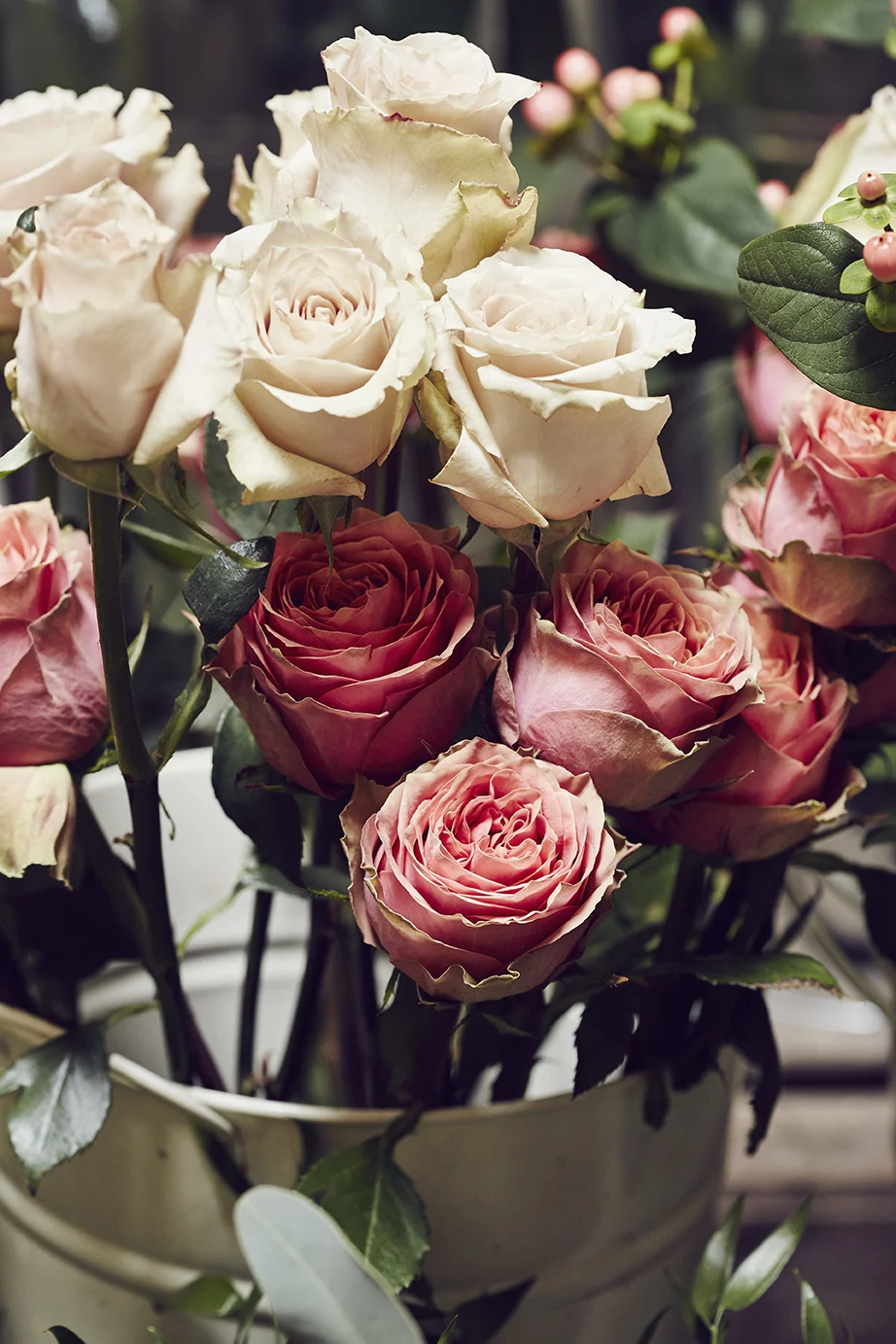 AlunCallenderPhoto_AstibleandSorrel_24_E9A2934.jpg