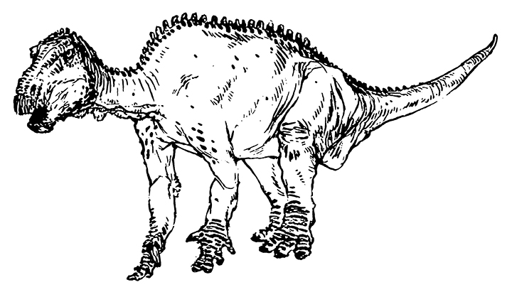 Iguanodon copy.jpg