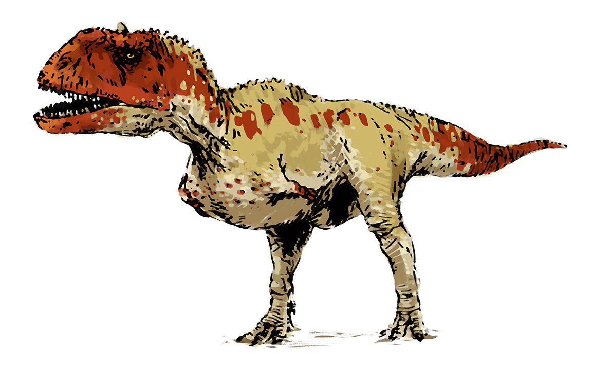 Majungasaurus.jpg