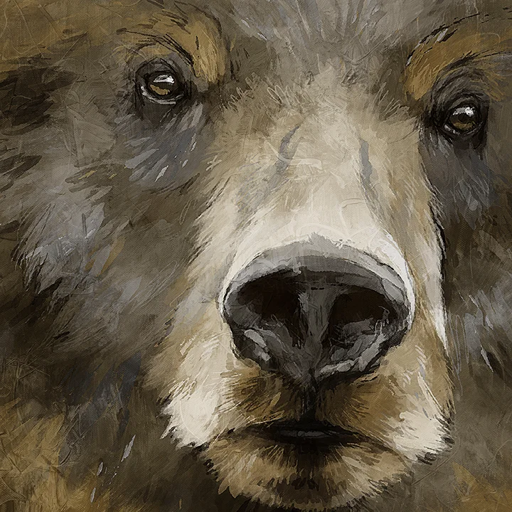 CAG198283_BearStare_24x24_SW_HL.jpg