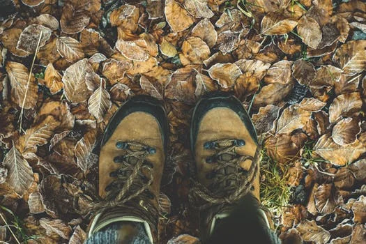 pexels-photo-284711.jpeg