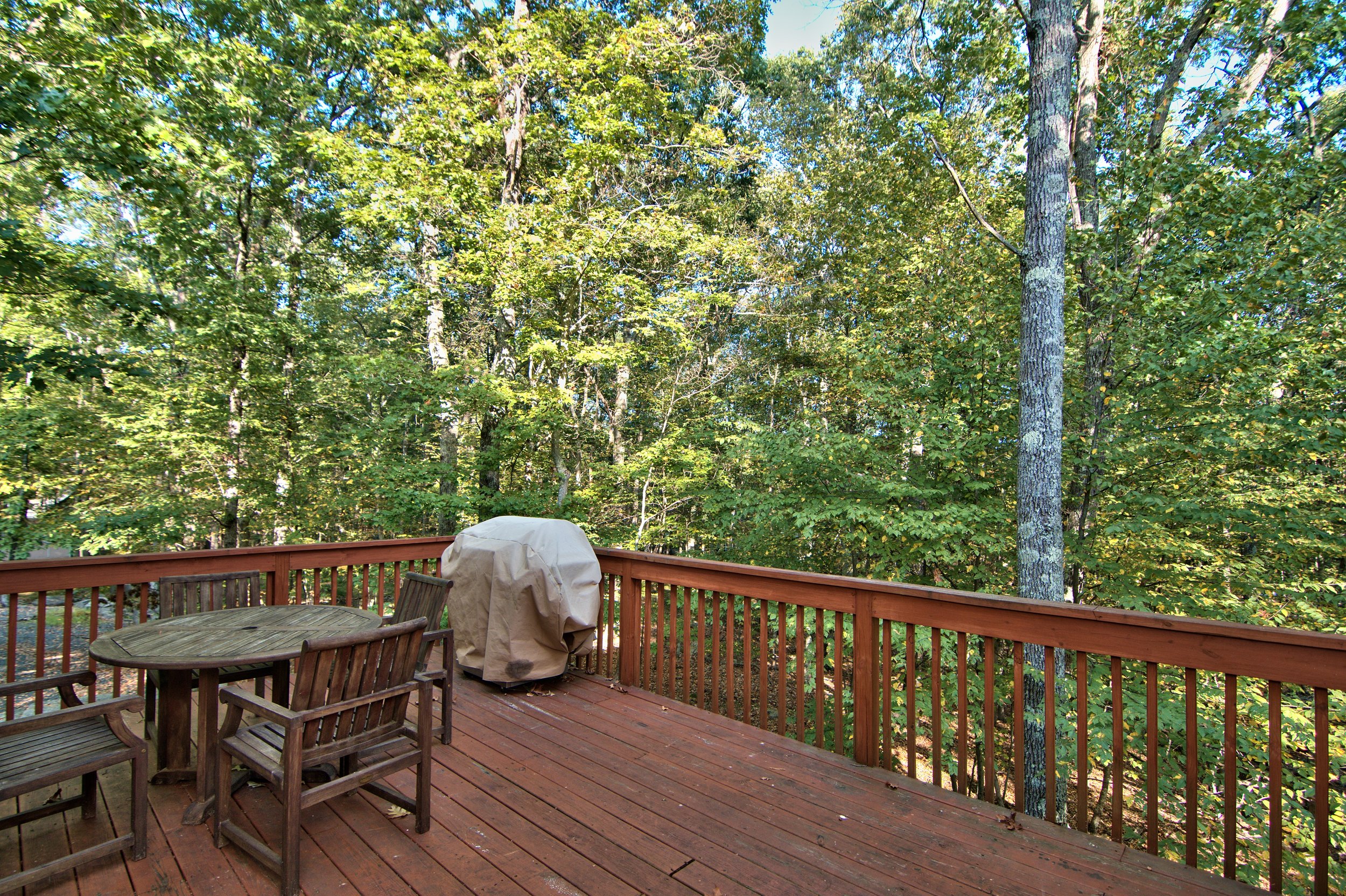 Exterior Deck View 2.jpg