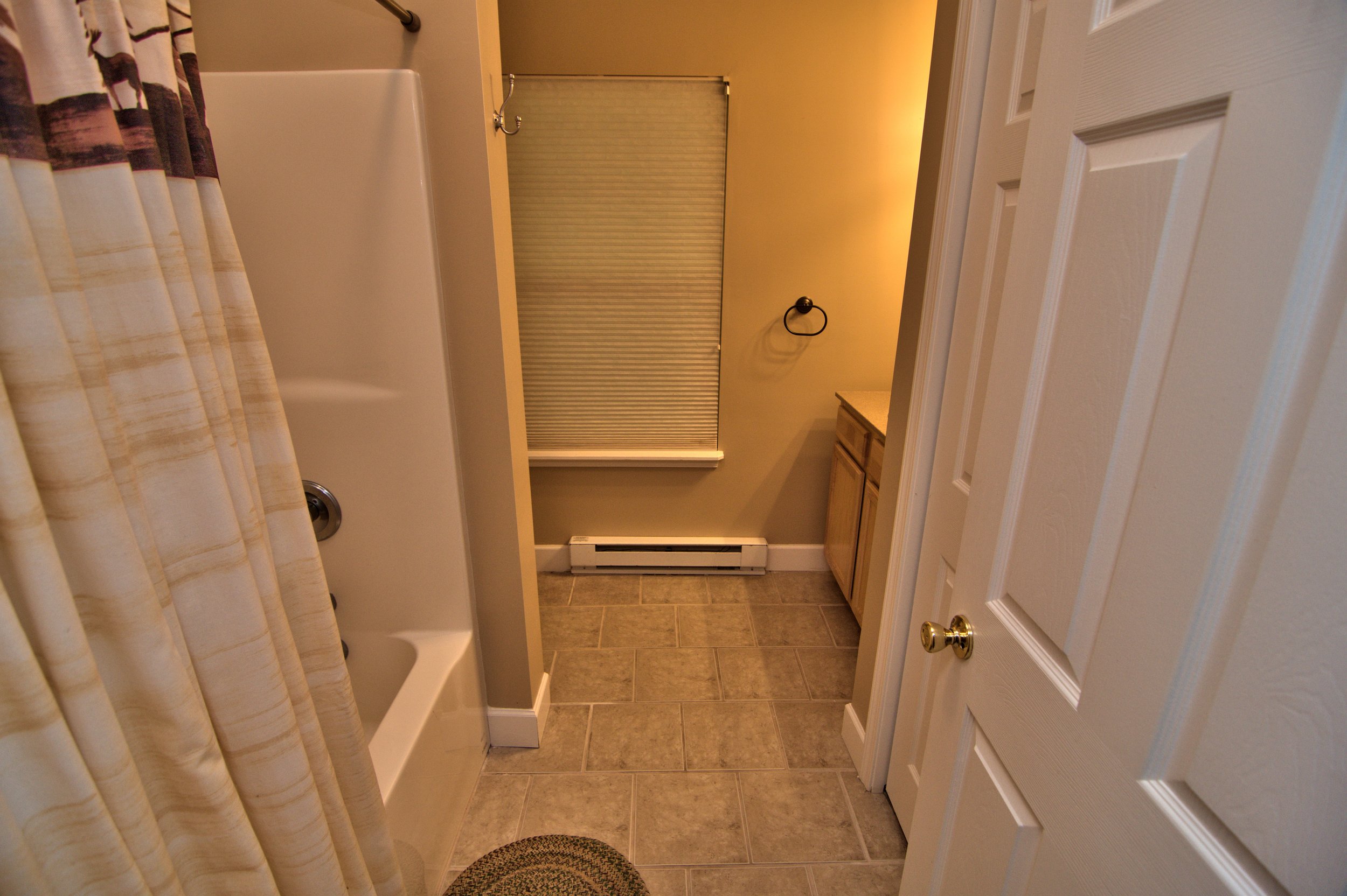 Lower Level Bath View 1.jpg