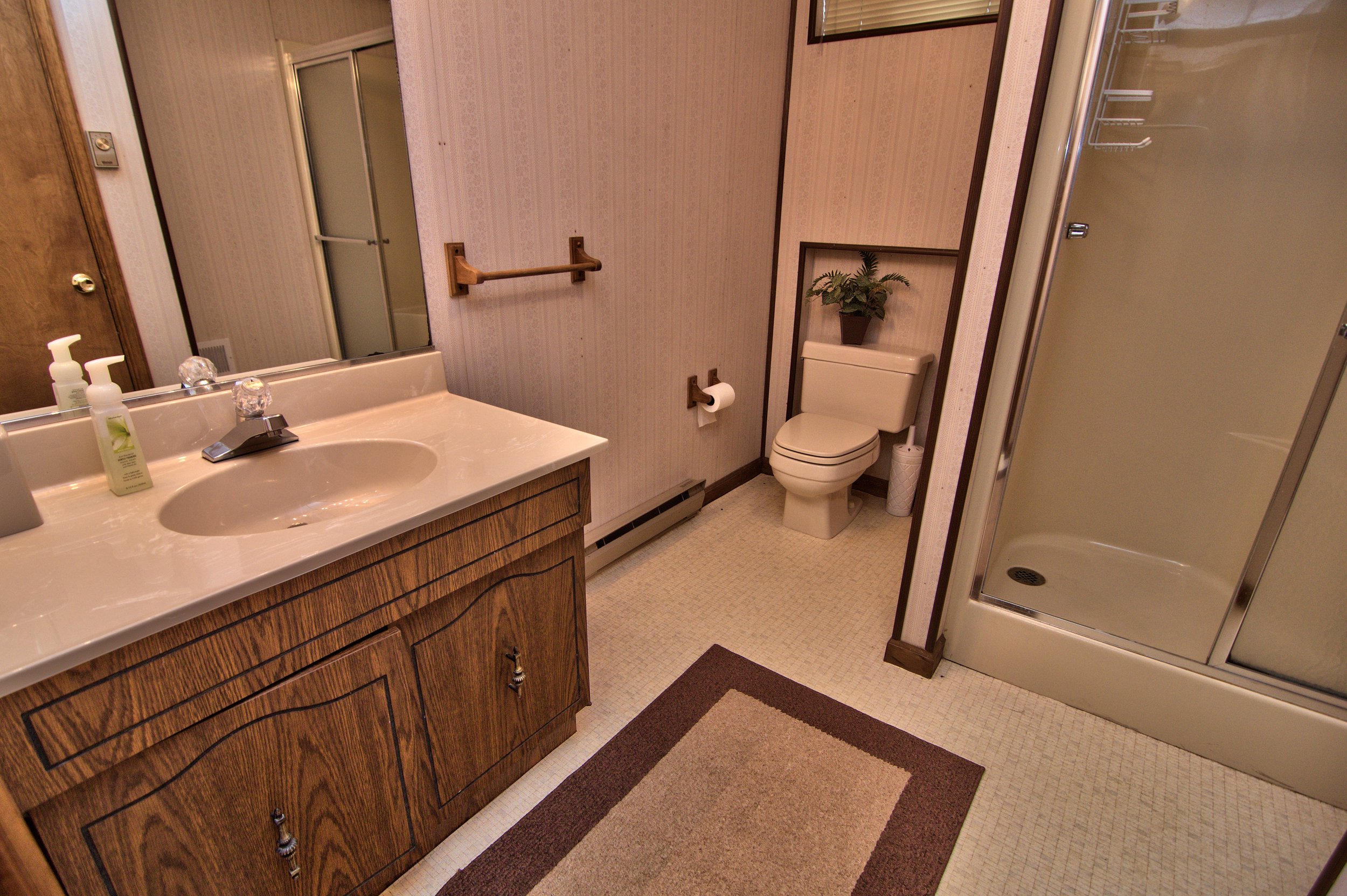 Lower Level Bath View 2.jpg