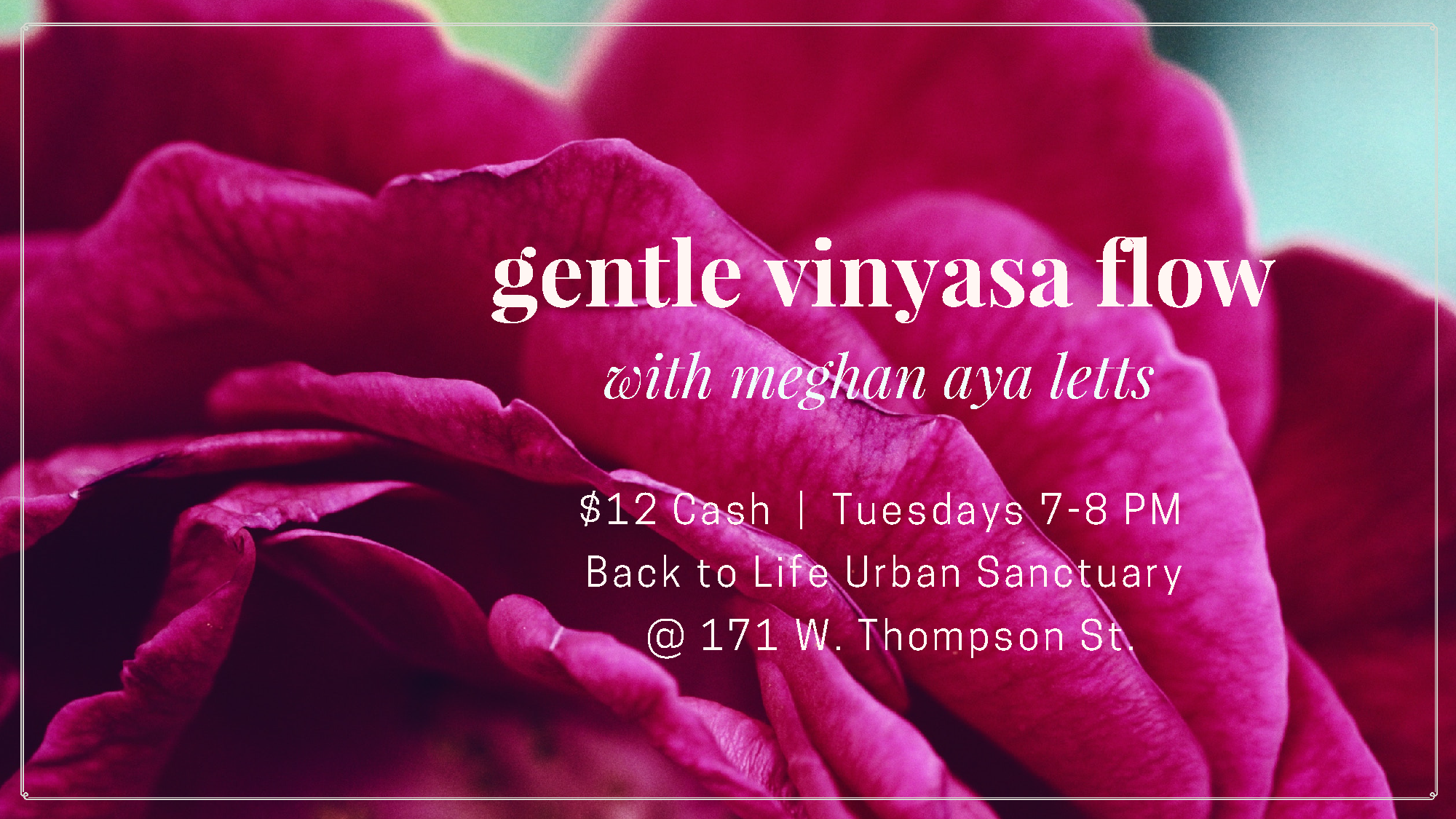 Gentle Vinyasa Flow (1).png