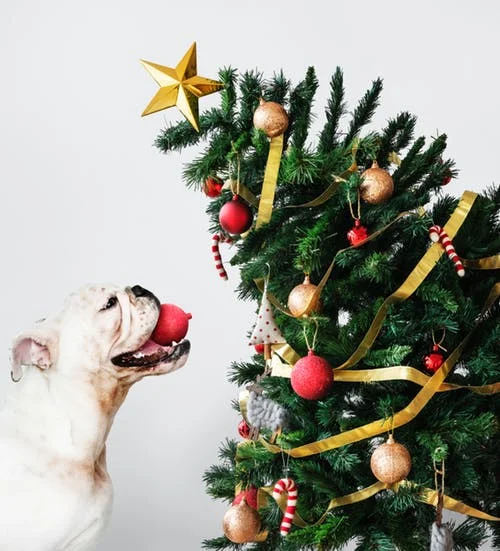 navigating the holidays in a relationship