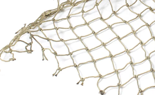 fish in a net.jpg