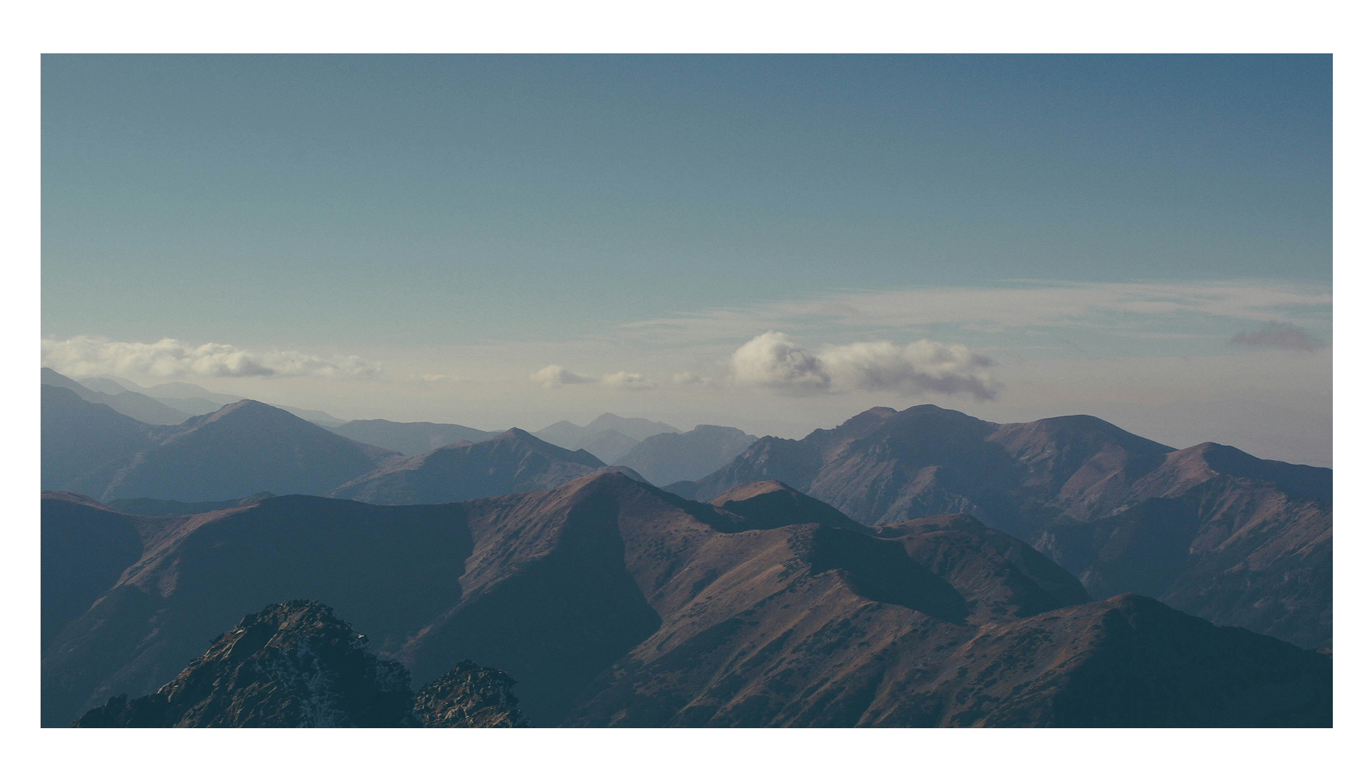 WOPF_BG (1).png