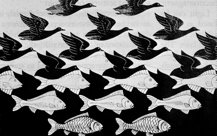 M. C. Escher, 'Sky and Water I' 1938. A joyful interplay of negative and positive spaces - we know what we see at each extreme but the transition blurs our sensibilities. Do we focus on the negative space, or the positive - and at what point does one become the other?