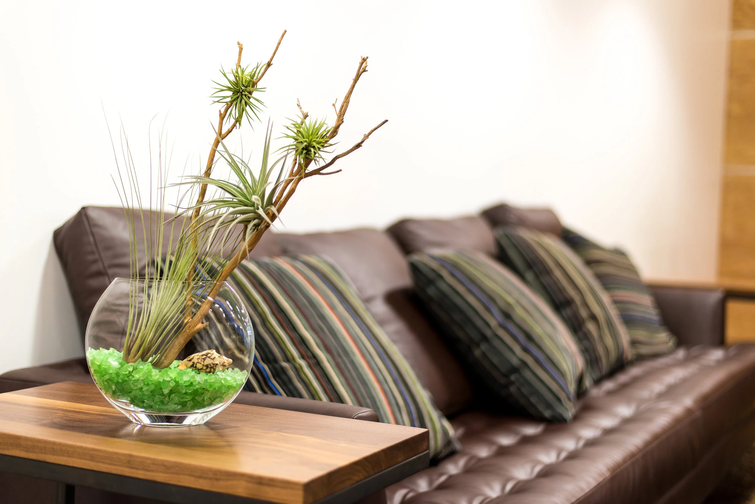 9_Tillandsia_Glass_Vase_Centerpiece_business_EL.jpg