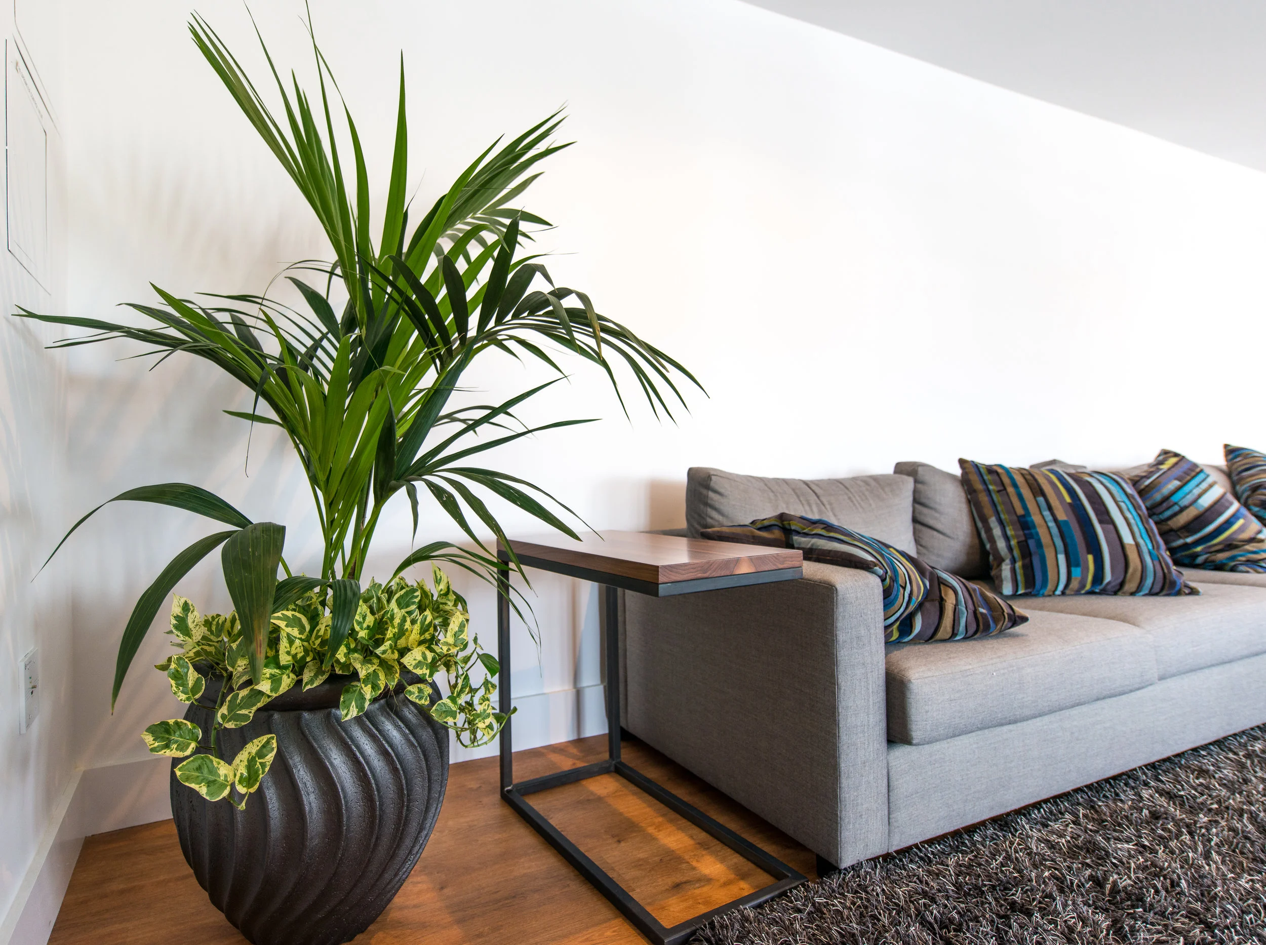 12_kentia_pothos_twist_pot_business_EL.jpg